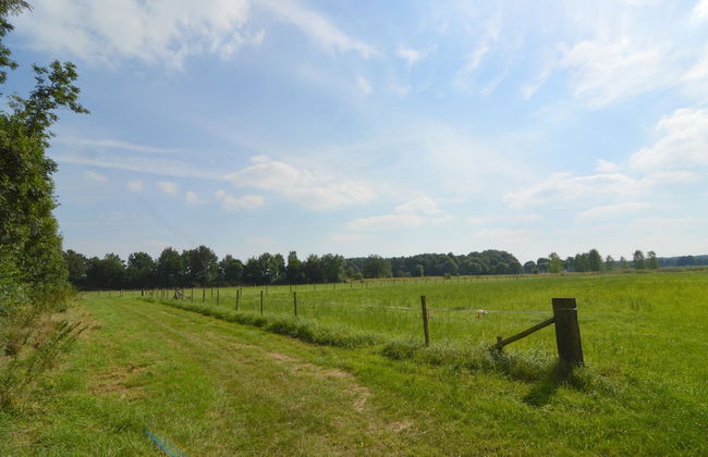 Apartment in Posterholt Near Meinweg Park - Photo 39