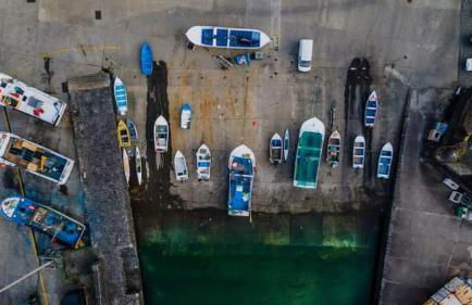 Blue And Gold Cozy Home - Photo 18