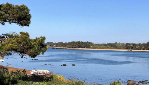 Appartement rénové avec terrasse à 200m des plages à Trégastel - FR-1-368-122 - Foto 5