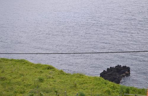 Casinha de Muda da Feteira - Photo 35