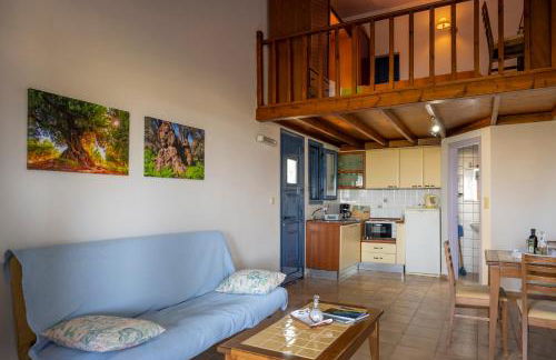 Olive Garden Houses - Photo 63