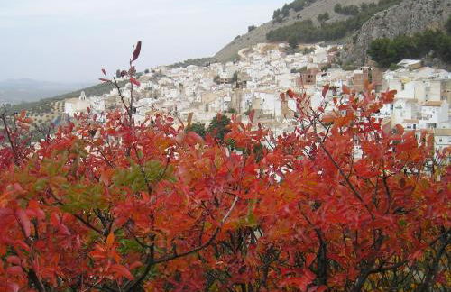 La Casita con piscina privada de tres dormitorios - Photo 57