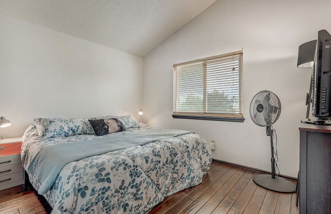 Shirley's Temple - Foto 9