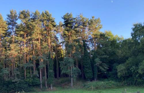 Mini haven - Foto 33