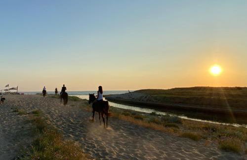 Casagiardino Sofía - Foto 29
