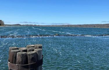 Relation Ship - Foto 14