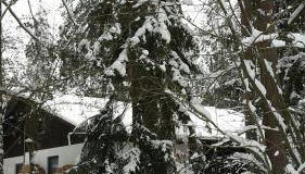 Bungalow direkt am See, mit eigenem Boot - Foto 2