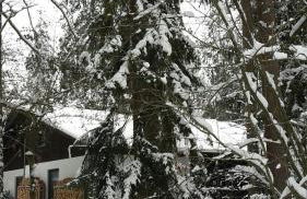 Bungalow direkt am See, mit eigenem Boot - Foto 2