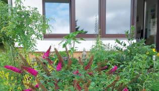 Fewo Silberborn - Weserbergland (Fam. Oehler) - Foto 3