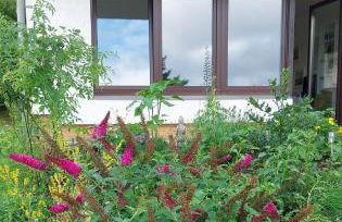 Fewo Silberborn - Weserbergland (Fam. Oehler) - Foto 3