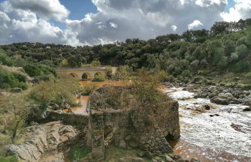 MONTE DO SALTO DA RAPOSA - Foto 36
