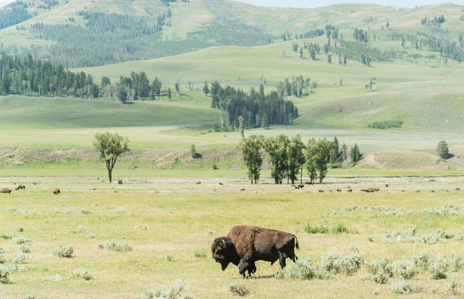 Bar N Ranch - Photo 63