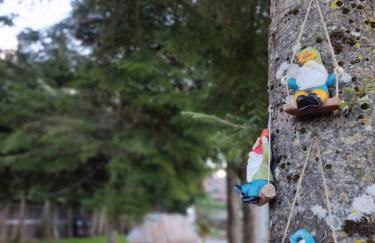 Chalet del Lago Laceno - Foto 57