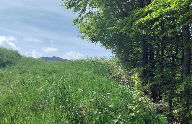 VVF Le Lioran Les Monts du Cantal, Saint Jacques des Blats - Photo 72
