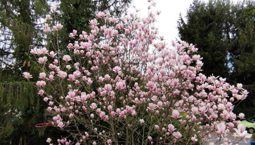 RIVER side appartment - Photo 2