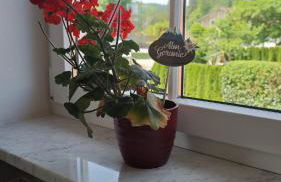 Wohnung mit Bergblick - Photo 24