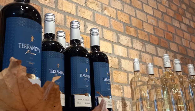 Vinos de Rio Grande do Sul