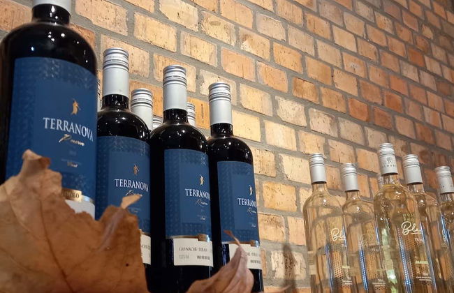 Excursión al Vale dos Vinhedos - Foto 4