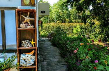 Zaira Studios - Foto 13