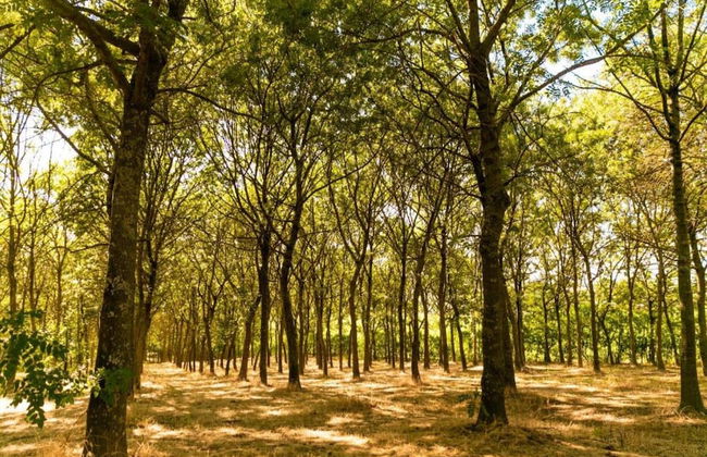 Belvilla by OYO Campo Quattro - Foto 26