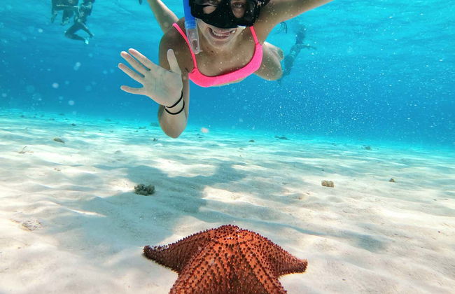 Snorkelling in a Turtle Sanctuary - Photo 9