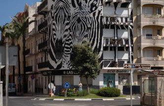Las Cebras Apartamentos Turísticos - Foto 46