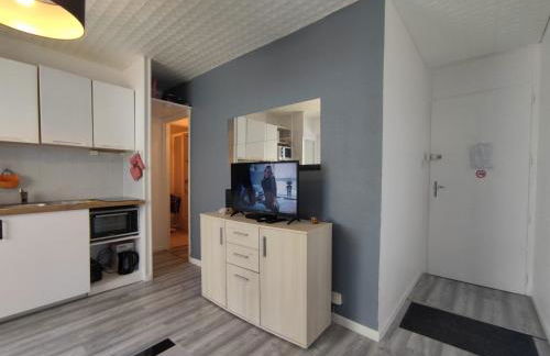 Les Petits Becs , joli T2 Vue mer, Wifi, Parking - Foto 17