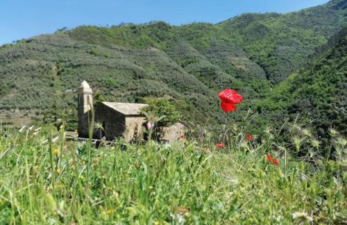 Casa Anita - Photo 9