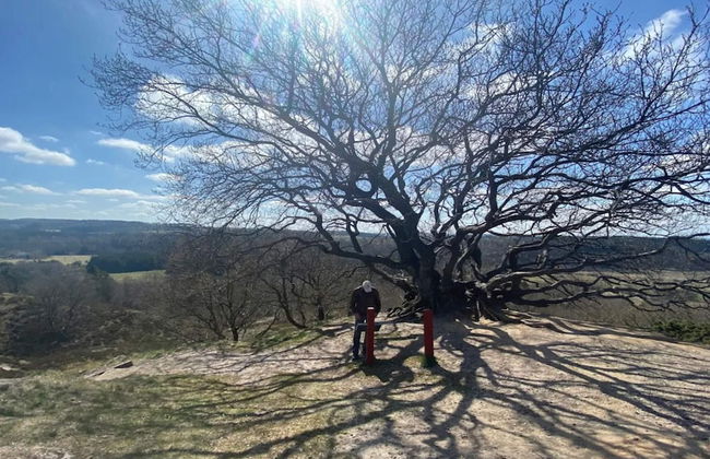 4 Person Holiday Home in Ans By - Foto 13