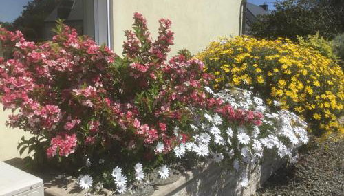 Soizic' house - Foto 3, Garden