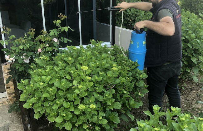 LUSTRA GARDEN SUITE - Foto 27