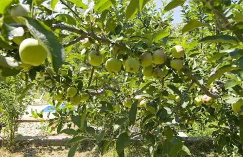 Three Bedroom Villa With Private Pool - Foto 45