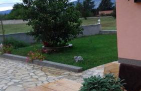 Holiday Home Izabela - Foto 6