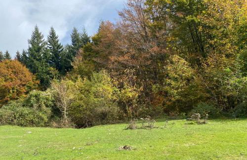 La casa nel bosco-Val Granara guesthouse - Foto 22