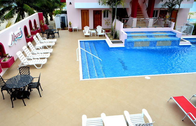 Miramar Apartments - Foto 29