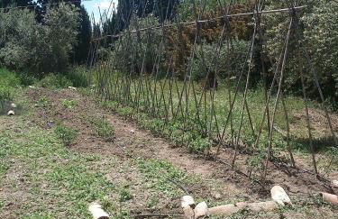 Cortijo Algabia - Photo 44