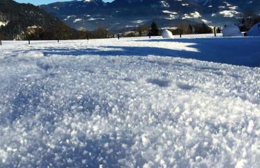 Pension Loiplstüberl - Foto 44