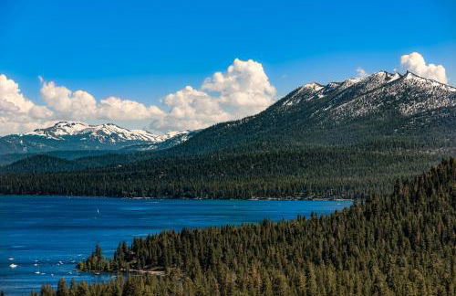 Tree-Lined Views #8 - Foto 14