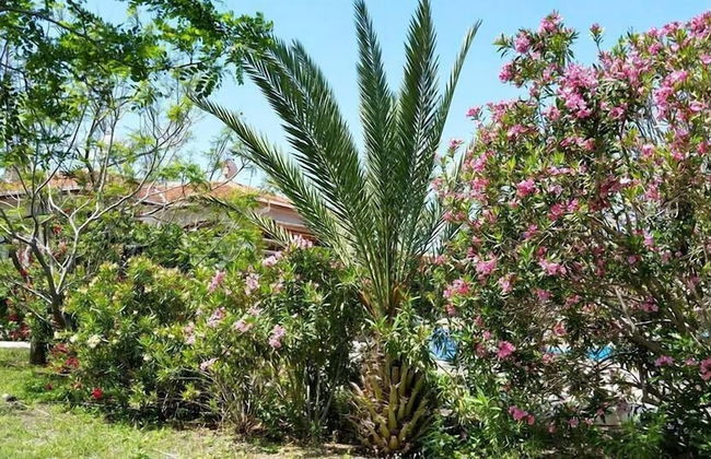 Paradise Holiday Bungalows - Foto 27