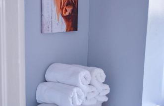 Perfectly Modern Craftsman- close to everything! - Photo 26