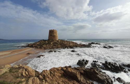 Vista Torre 2 - Foto 16