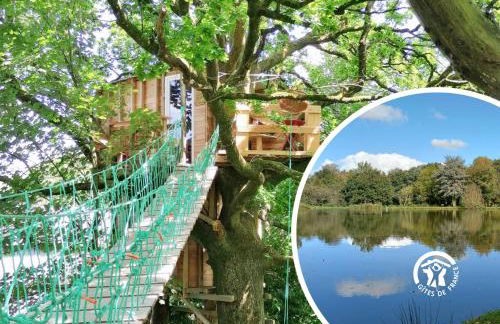 Le nid dans le chêne - Photo 1