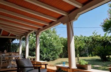 House Nono Bepo in small Istrian village - Foto 48