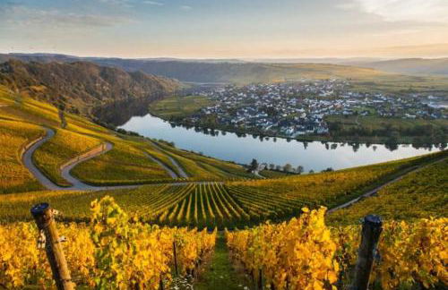 Ferienwohnung Moselnest - Foto 4