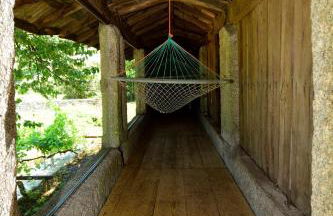 QUINTA do SOUTO BARCIADEMERA - Foto 19