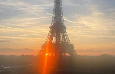 View on Eiffel Tower Seine and Main Monuments - Photo 22