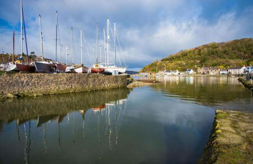 Llais Afon - 3 Bedroom Holiday Home - Fishguard - Foto 44