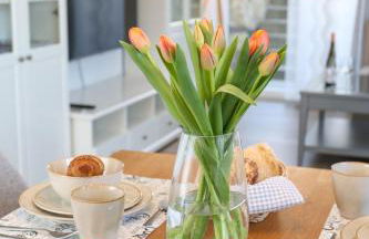 WEINQUARTIER Bad Kösen 65 qm Küche Parkplatz Terrasse Weinbergsblick - Foto 23