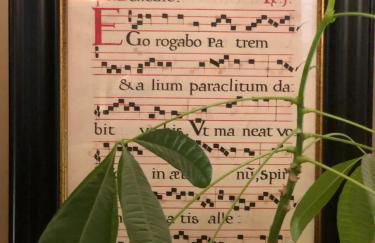 Antica Casa Fenaroli - Foto 9