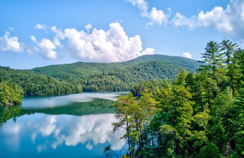 Lakefront Murphy Getaway with Deck, Dock and Kayaks! - Foto 35